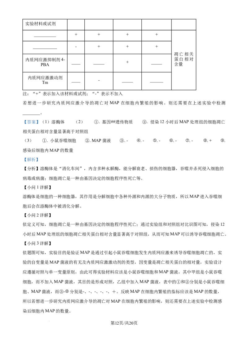 精品解析：北京市西城区北京市育才学校2025-2026学年高三上学期9月月考生物试题（解析版）_2025年10月_251003北京市西城区育才学校2025-2026学年高三上学期9月月考