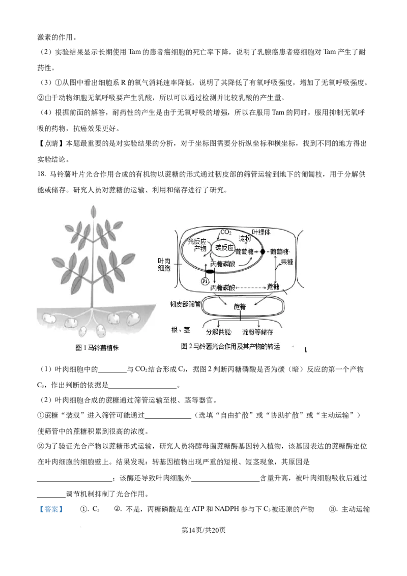 精品解析：北京市西城区北京市育才学校2025-2026学年高三上学期9月月考生物试题（解析版）_2025年10月_251003北京市西城区育才学校2025-2026学年高三上学期9月月考