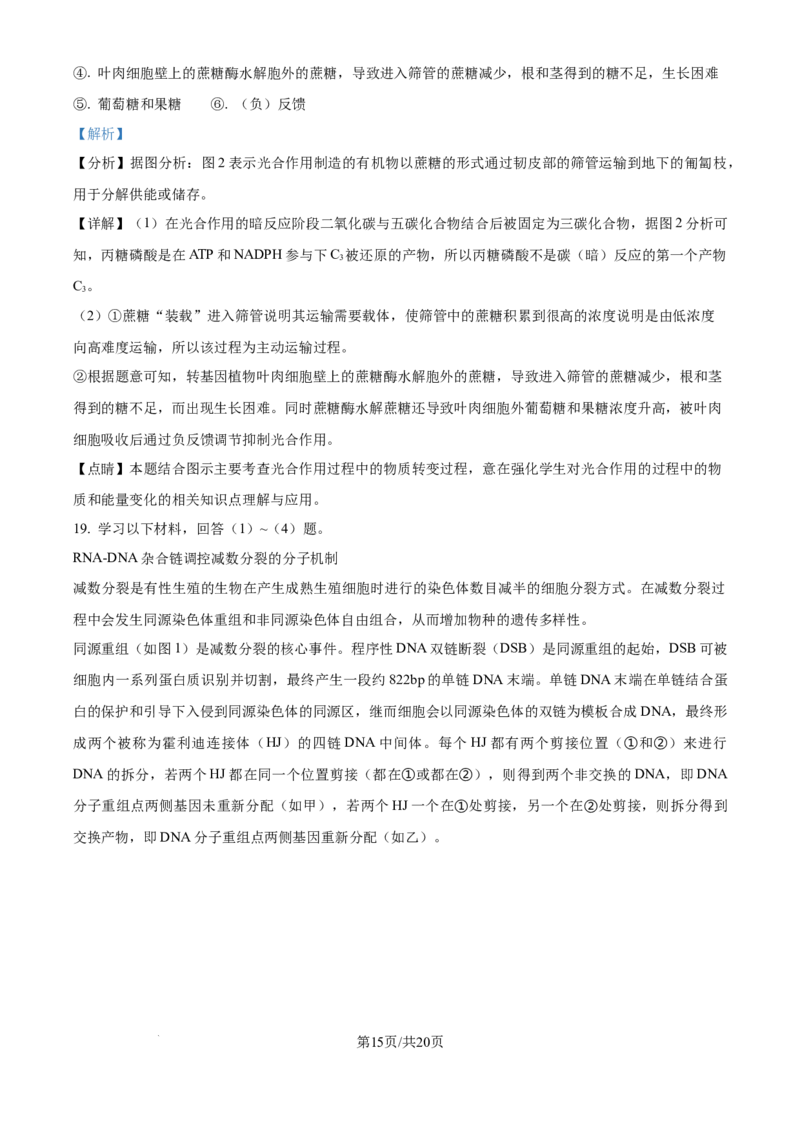 精品解析：北京市西城区北京市育才学校2025-2026学年高三上学期9月月考生物试题（解析版）_2025年10月_251003北京市西城区育才学校2025-2026学年高三上学期9月月考