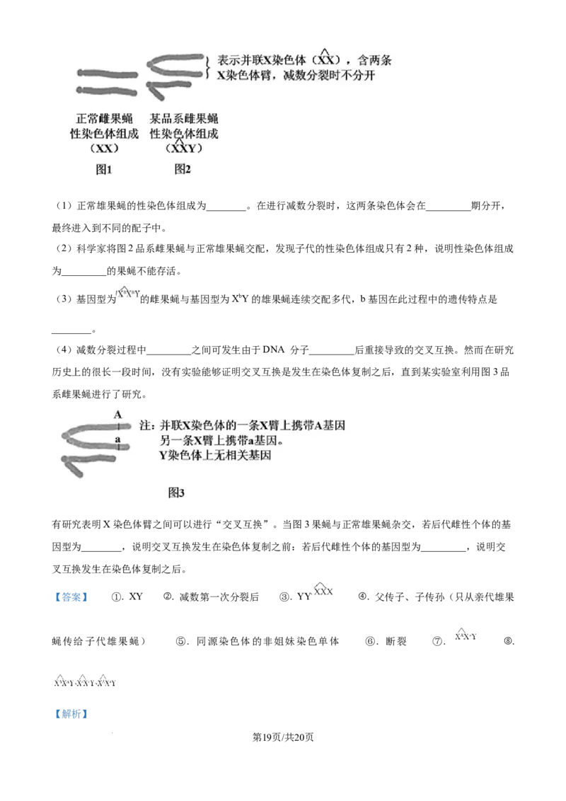精品解析：北京市西城区北京市育才学校2025-2026学年高三上学期9月月考生物试题（解析版）_2025年10月_251003北京市西城区育才学校2025-2026学年高三上学期9月月考