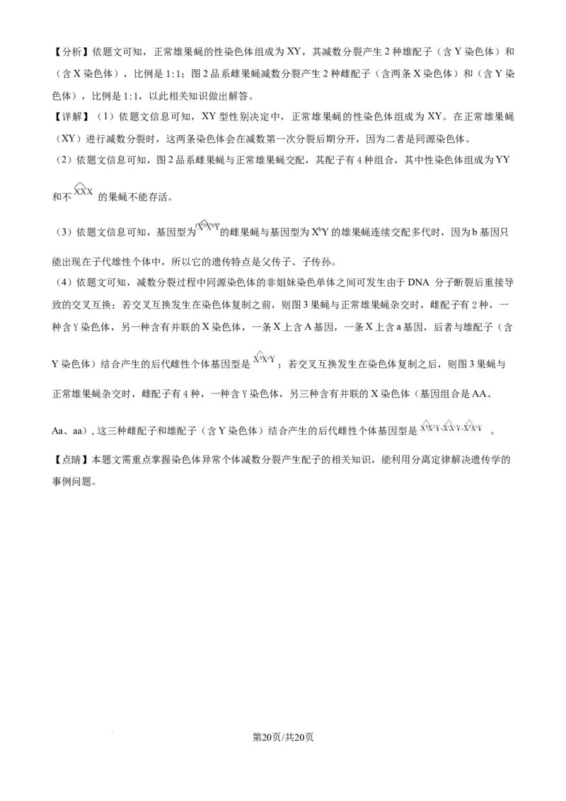 精品解析：北京市西城区北京市育才学校2025-2026学年高三上学期9月月考生物试题（解析版）_2025年10月_251003北京市西城区育才学校2025-2026学年高三上学期9月月考