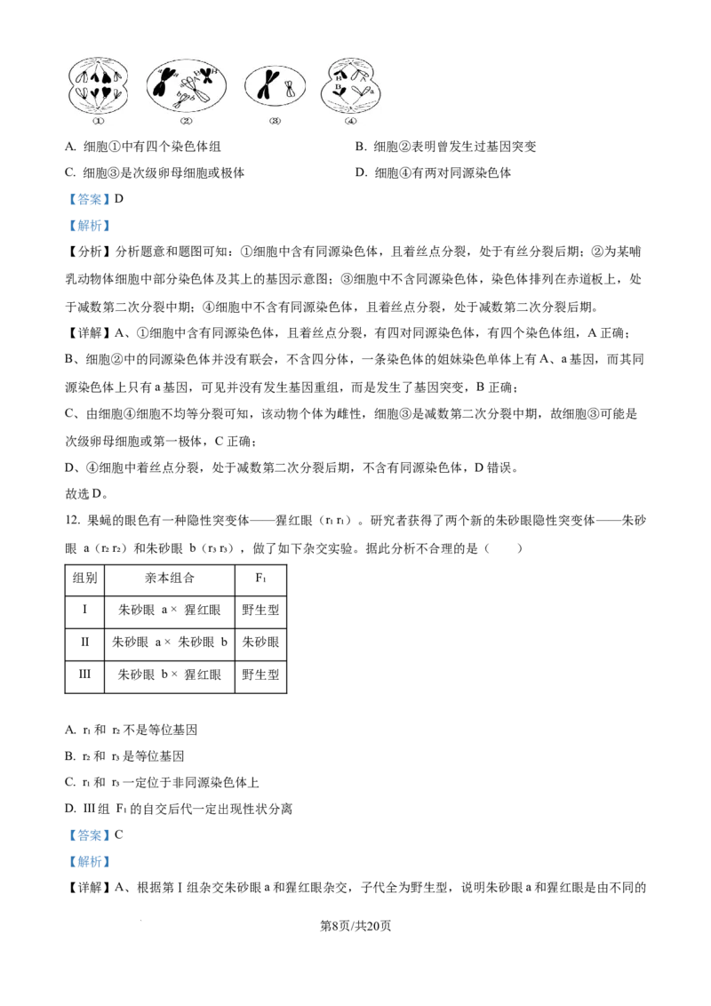 精品解析：北京市西城区北京市育才学校2025-2026学年高三上学期9月月考生物试题（解析版）_2025年10月_251003北京市西城区育才学校2025-2026学年高三上学期9月月考