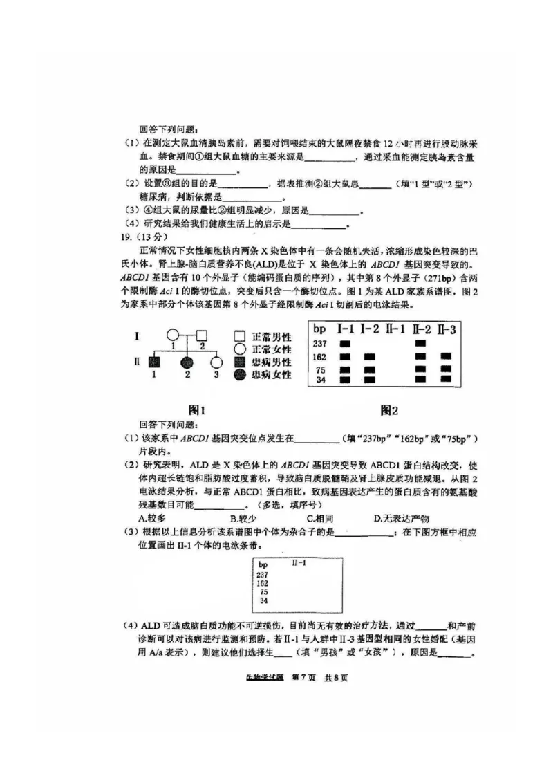 福建省宁德市2025届普通高中毕业班五月份质量检测生物_2025年5月_250515福建省宁德市2025届普通高中毕业班五月份质量检测（宁德四检）（全科）
