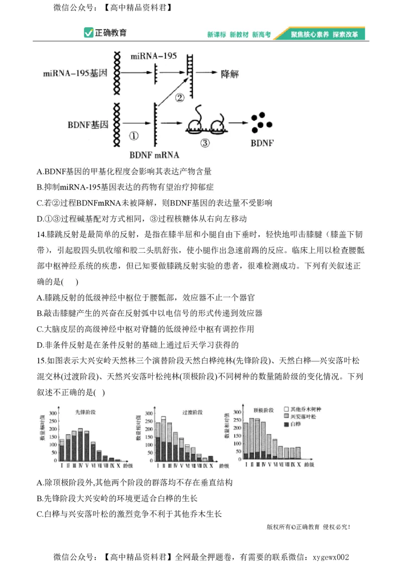 2024届明日之星高考生物精英模拟卷江西版_2024高考押题卷_72024正确教育全系列_2024明日之星全系列_（新高考）2024《明日之星&middot;高考精英模拟卷》（九科全）各一套
