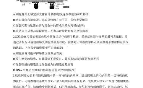 2024届明日之星高考生物精英模拟卷江西版_2024高考押题卷_72024正确教育全系列_2024明日之星全系列_（新高考）2024《明日之星&middot;高考精英模拟卷》（九科全）各一套