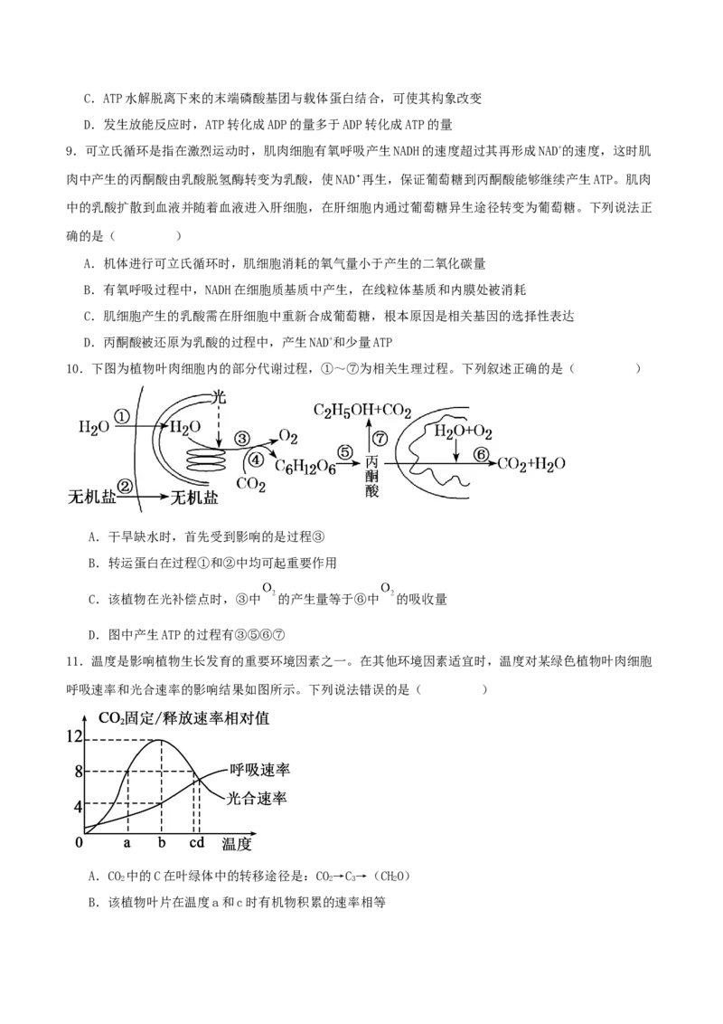 河南省顶级名校2025-2026学年高三上学期9月月考生物试卷（含答案）_2025年9月_250925河南省顶级名校2026届高三上学期9月月考试