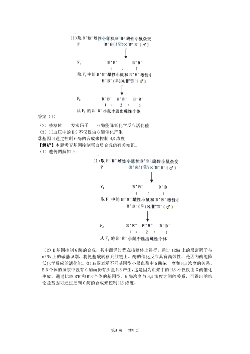 2009年高考生物试卷（浙江）（解析卷）_生物历年高考真题_新&middot;PDF版2008-2025&middot;高考生物真题_生物（按年份分类）2008-2025_2009&middot;高考生物真题