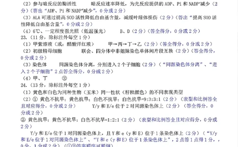 生物答案-山东名校考试联盟2025年10月高三年级阶段性检测_2025年10月_251013山东省名校考试联盟2026届高三上学期10月阶段性检测（全科）