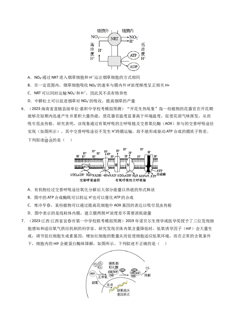 专题03细胞呼吸与光合作用（学生卷）_近10年高考真题汇编（必刷）_十年（2014-2024）高考生物真题分项汇编（全国通用）_2023年高考真题和模拟题生物分项汇编（全国通用）