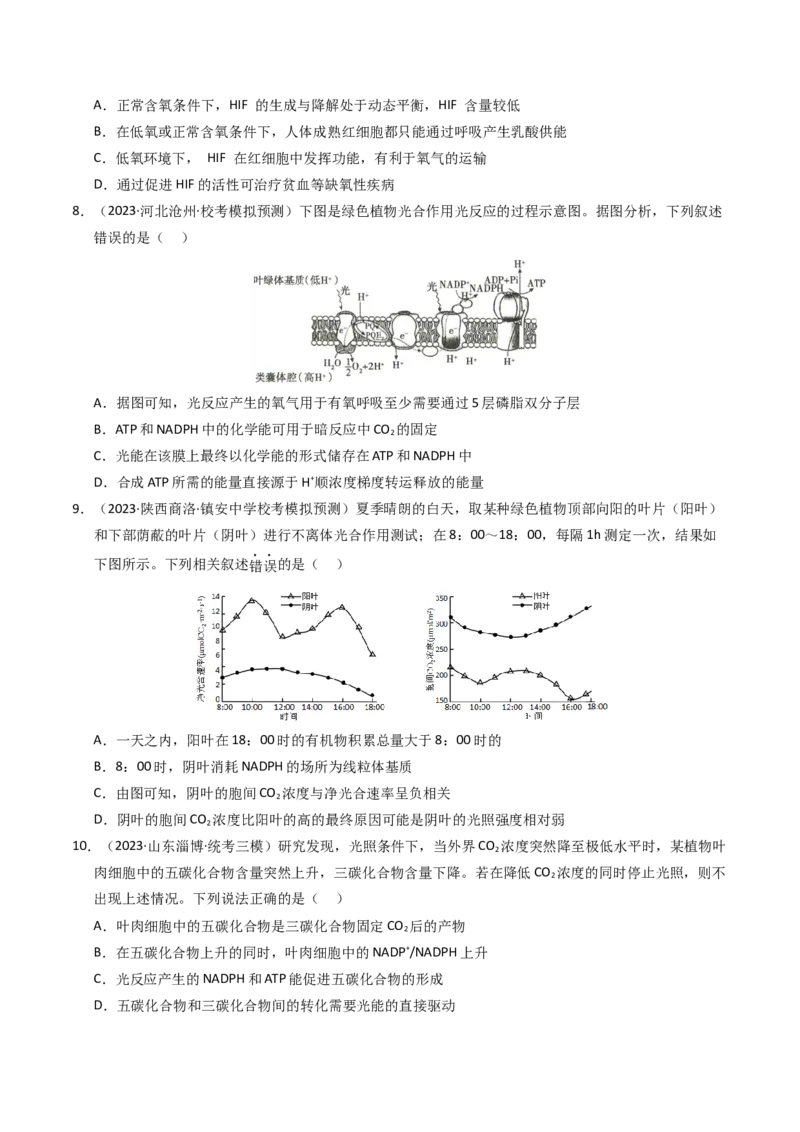 专题03细胞呼吸与光合作用（学生卷）_近10年高考真题汇编（必刷）_十年（2014-2024）高考生物真题分项汇编（全国通用）_2023年高考真题和模拟题生物分项汇编（全国通用）