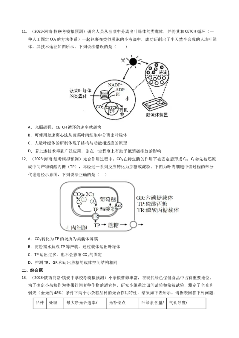 专题03细胞呼吸与光合作用（学生卷）_近10年高考真题汇编（必刷）_十年（2014-2024）高考生物真题分项汇编（全国通用）_2023年高考真题和模拟题生物分项汇编（全国通用）