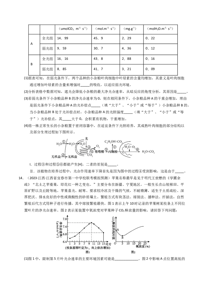 专题03细胞呼吸与光合作用（学生卷）_近10年高考真题汇编（必刷）_十年（2014-2024）高考生物真题分项汇编（全国通用）_2023年高考真题和模拟题生物分项汇编（全国通用）