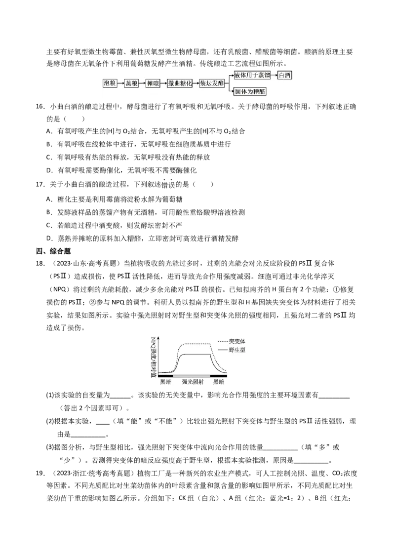 专题03细胞呼吸与光合作用（学生卷）_近10年高考真题汇编（必刷）_十年（2014-2024）高考生物真题分项汇编（全国通用）_2023年高考真题和模拟题生物分项汇编（全国通用）