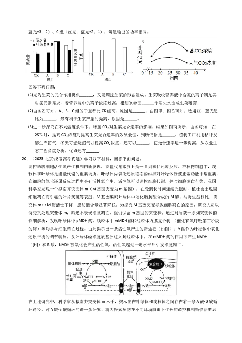 专题03细胞呼吸与光合作用（学生卷）_近10年高考真题汇编（必刷）_十年（2014-2024）高考生物真题分项汇编（全国通用）_2023年高考真题和模拟题生物分项汇编（全国通用）