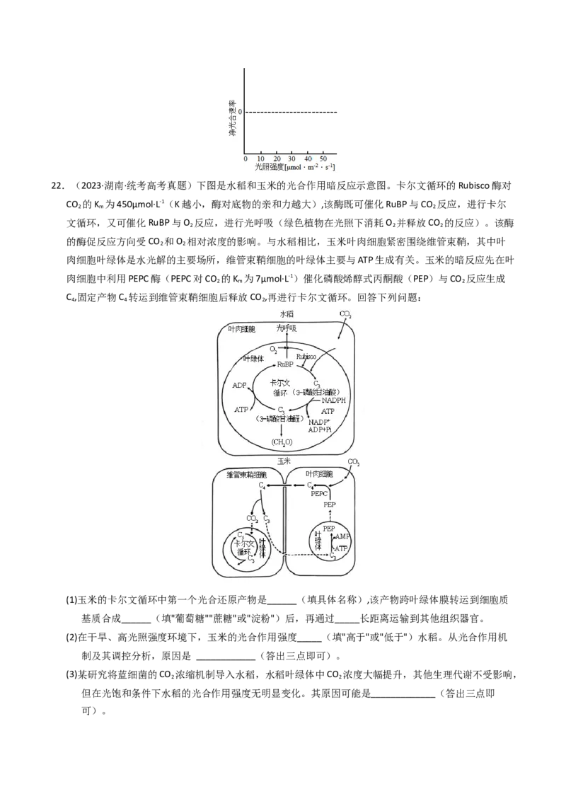 专题03细胞呼吸与光合作用（学生卷）_近10年高考真题汇编（必刷）_十年（2014-2024）高考生物真题分项汇编（全国通用）_2023年高考真题和模拟题生物分项汇编（全国通用）