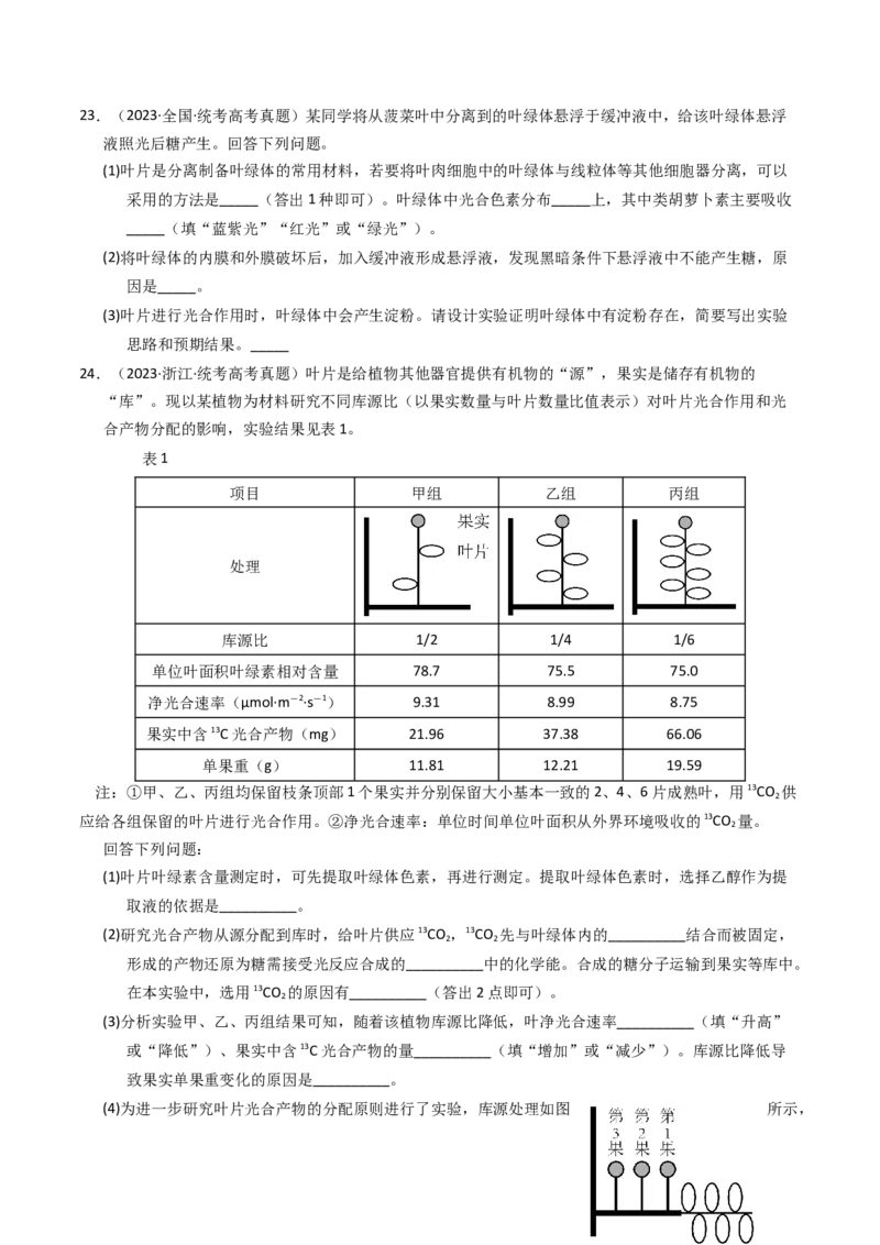 专题03细胞呼吸与光合作用（学生卷）_近10年高考真题汇编（必刷）_十年（2014-2024）高考生物真题分项汇编（全国通用）_2023年高考真题和模拟题生物分项汇编（全国通用）