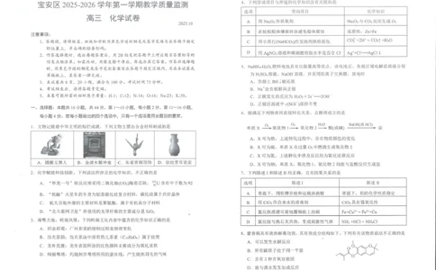 深圳宝安区2026届高三上学期教学质量检测化学试题_2025年10月_251024广东省深圳市宝安区2025-2026学年高三上学期10月教学质量检测（全科）