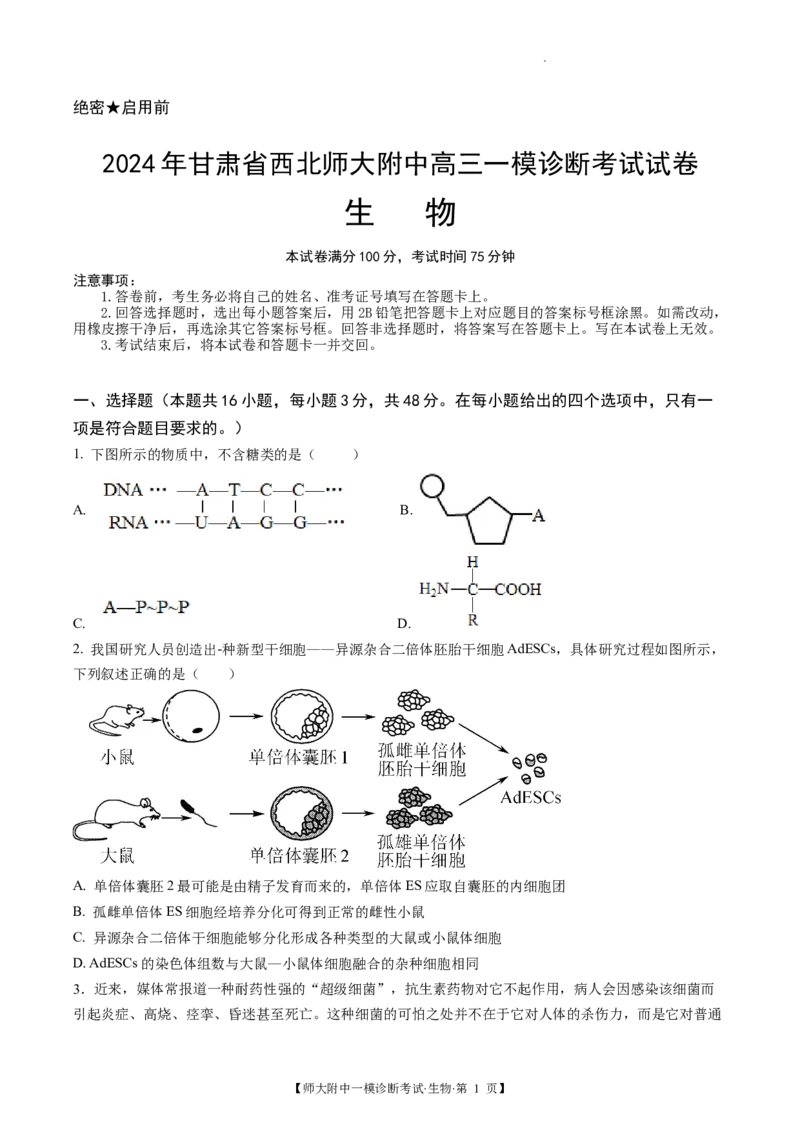 甘肃省西北师范大学附属中学2025届高三上学期一模诊断考试生物+答案_2025年1月_250107甘肃省西北师范大学附属中学2025届高三上学期一模诊断考试（全科）