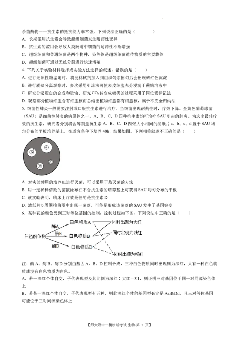 甘肃省西北师范大学附属中学2025届高三上学期一模诊断考试生物+答案_2025年1月_250107甘肃省西北师范大学附属中学2025届高三上学期一模诊断考试（全科）