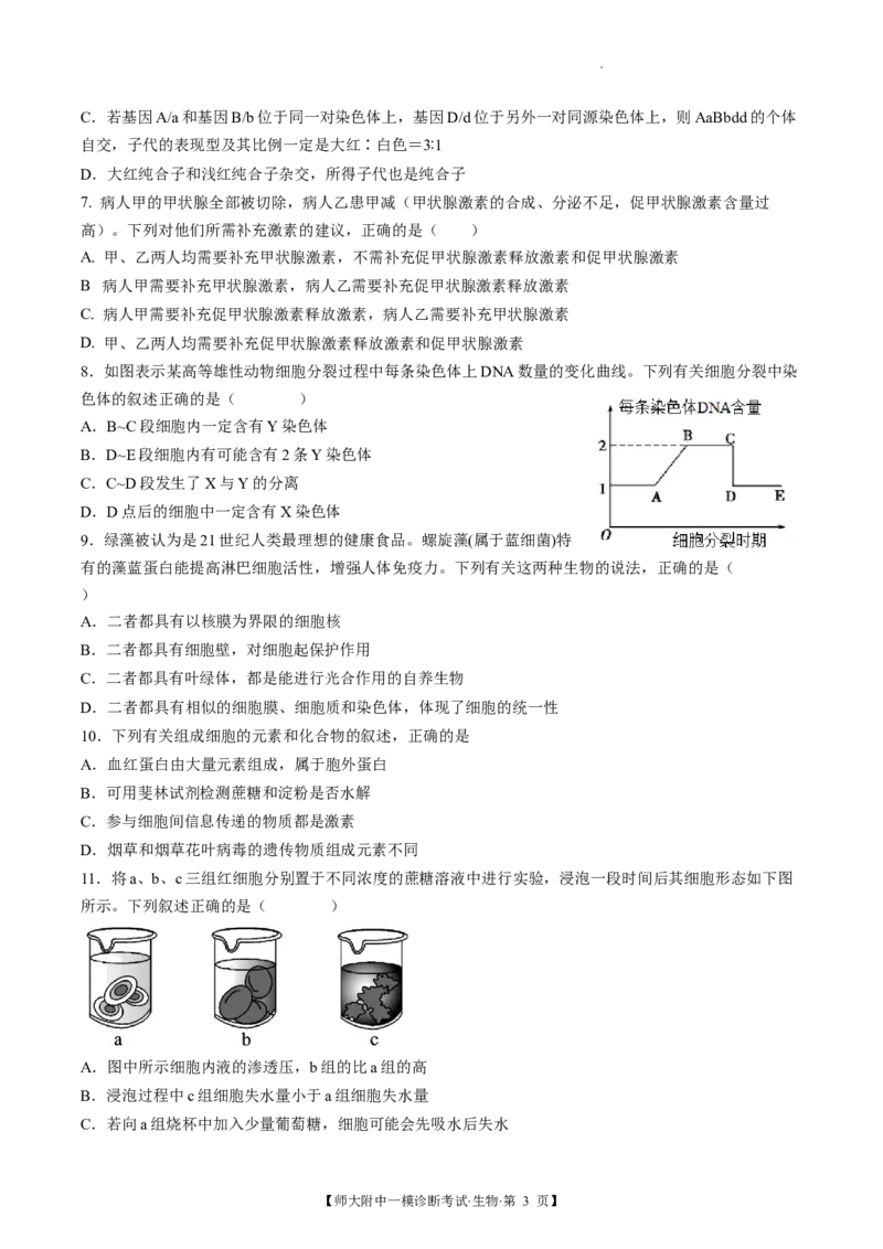 甘肃省西北师范大学附属中学2025届高三上学期一模诊断考试生物+答案_2025年1月_250107甘肃省西北师范大学附属中学2025届高三上学期一模诊断考试（全科）