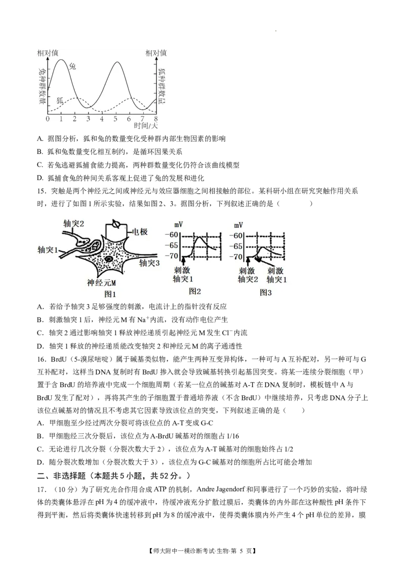甘肃省西北师范大学附属中学2025届高三上学期一模诊断考试生物+答案_2025年1月_250107甘肃省西北师范大学附属中学2025届高三上学期一模诊断考试（全科）