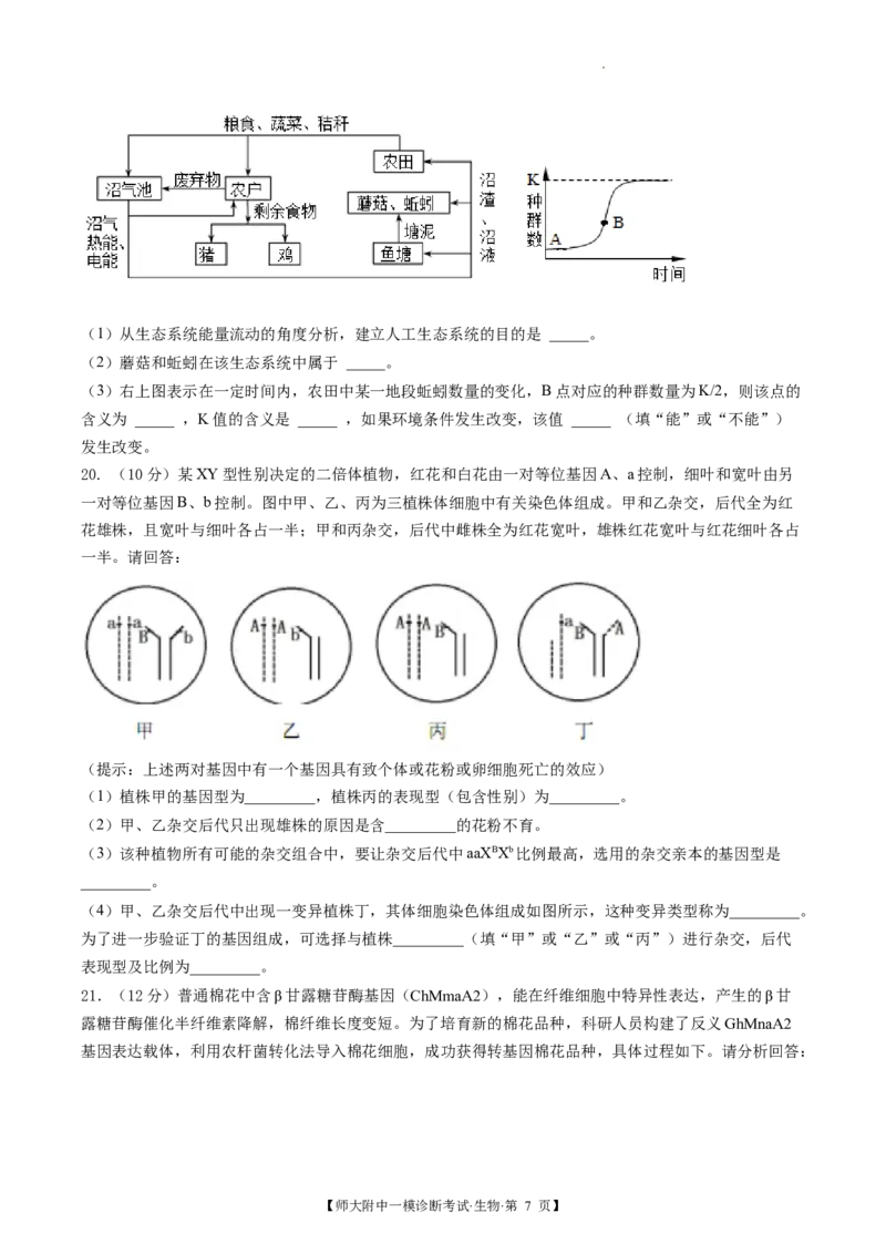甘肃省西北师范大学附属中学2025届高三上学期一模诊断考试生物+答案_2025年1月_250107甘肃省西北师范大学附属中学2025届高三上学期一模诊断考试（全科）