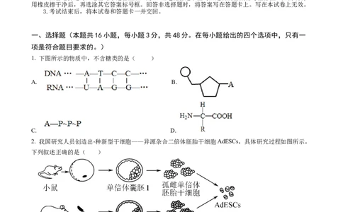 甘肃省西北师范大学附属中学2025届高三上学期一模诊断考试生物+答案_2025年1月_250107甘肃省西北师范大学附属中学2025届高三上学期一模诊断考试（全科）