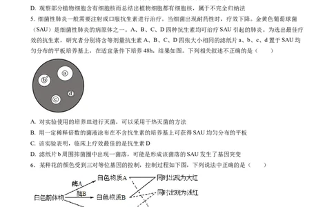 甘肃省西北师范大学附属中学2025届高三上学期一模诊断考试生物+答案_2025年1月_250107甘肃省西北师范大学附属中学2025届高三上学期一模诊断考试（全科）