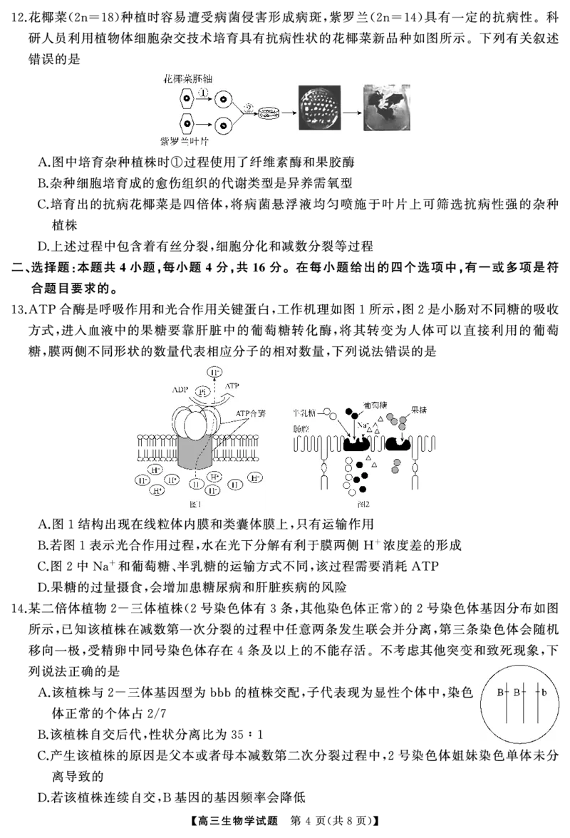 高三生物（试题）转曲2_2025年1月_250126湖南五市2025届高三1月期末质量检测_生物
