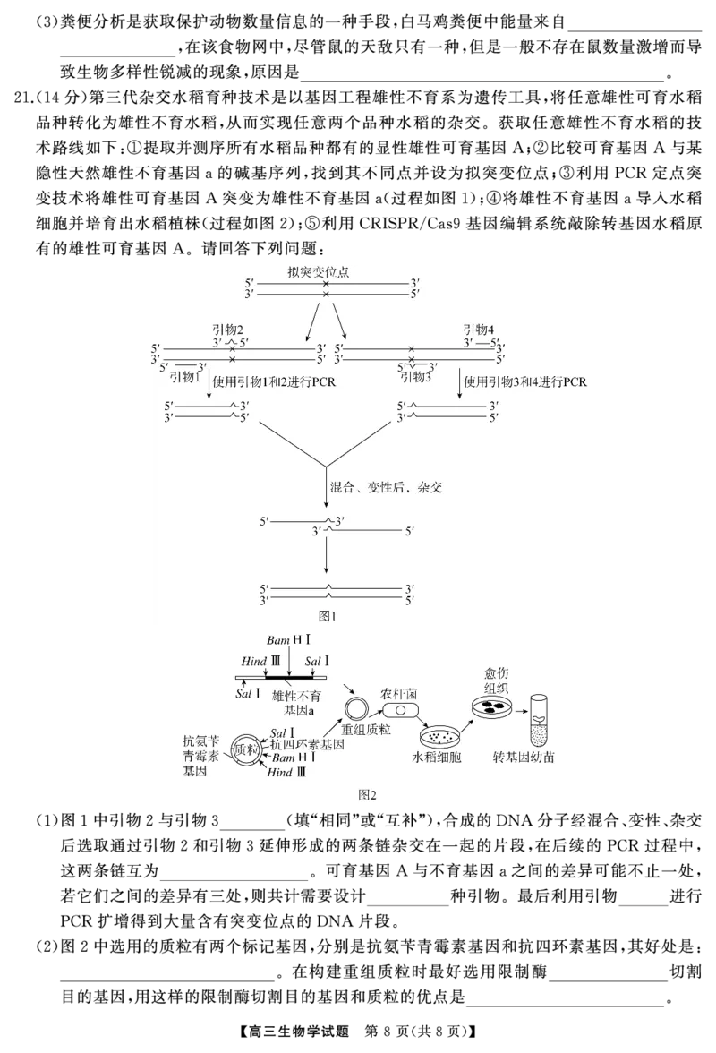 高三生物（试题）转曲2_2025年1月_250126湖南五市2025届高三1月期末质量检测_生物