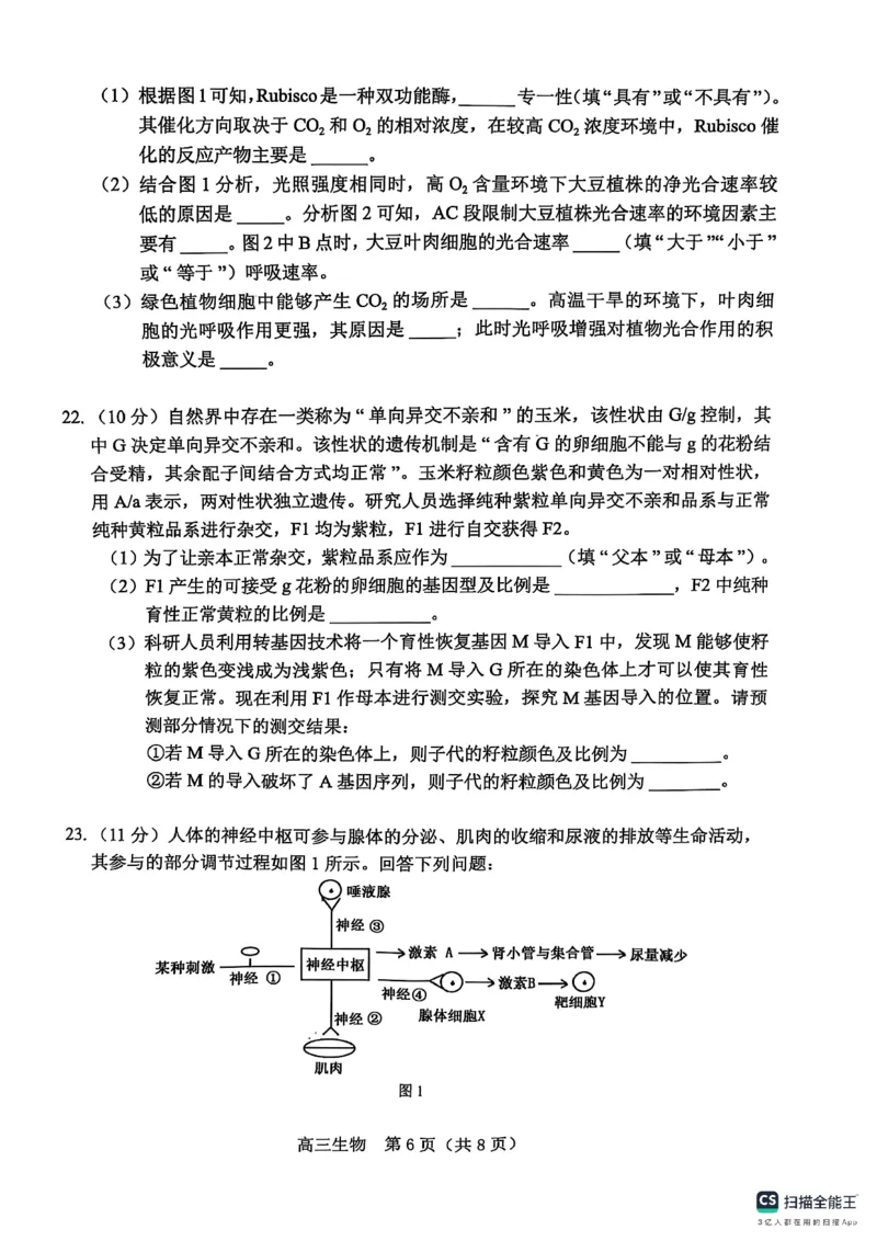 辽宁省葫芦岛市2024-2025学年高二上学期1月期末考试生物试题_2025年1月_250124辽宁省葫芦岛市2024-2025学年高三上学期期末试题（全科）