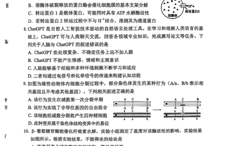 辽宁省葫芦岛市2024-2025学年高二上学期1月期末考试生物试题_2025年1月_250124辽宁省葫芦岛市2024-2025学年高三上学期期末试题（全科）