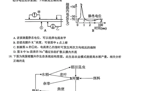 辽宁省葫芦岛市2024-2025学年高二上学期1月期末考试生物试题_2025年1月_250124辽宁省葫芦岛市2024-2025学年高三上学期期末试题（全科）