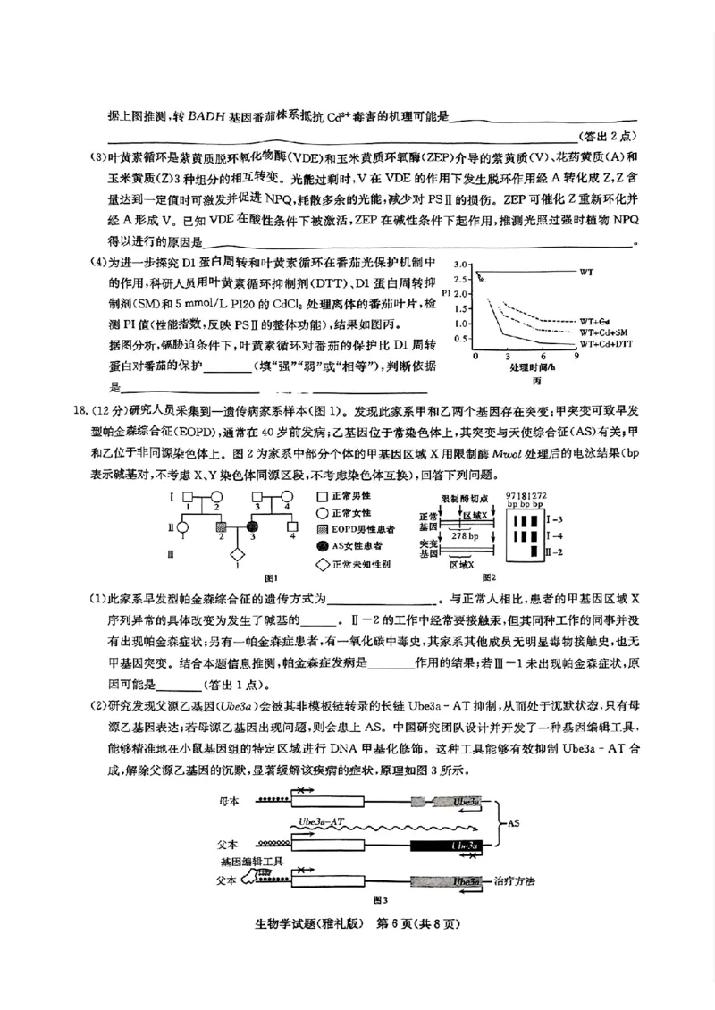 生物_2025年3月_250306湖南省长沙市雅礼中学2024-2025学年高三下学期月考卷（七）（全科）_湖南省长沙市雅礼中学2024-2025学年高三下学期月考卷（七）生物