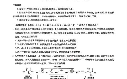 生物_2025年3月_250306湖南省长沙市雅礼中学2024-2025学年高三下学期月考卷（七）（全科）_湖南省长沙市雅礼中学2024-2025学年高三下学期月考卷（七）生物