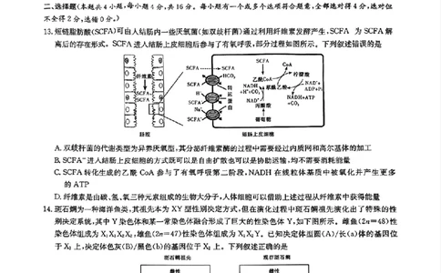 生物_2025年3月_250306湖南省长沙市雅礼中学2024-2025学年高三下学期月考卷（七）（全科）_湖南省长沙市雅礼中学2024-2025学年高三下学期月考卷（七）生物