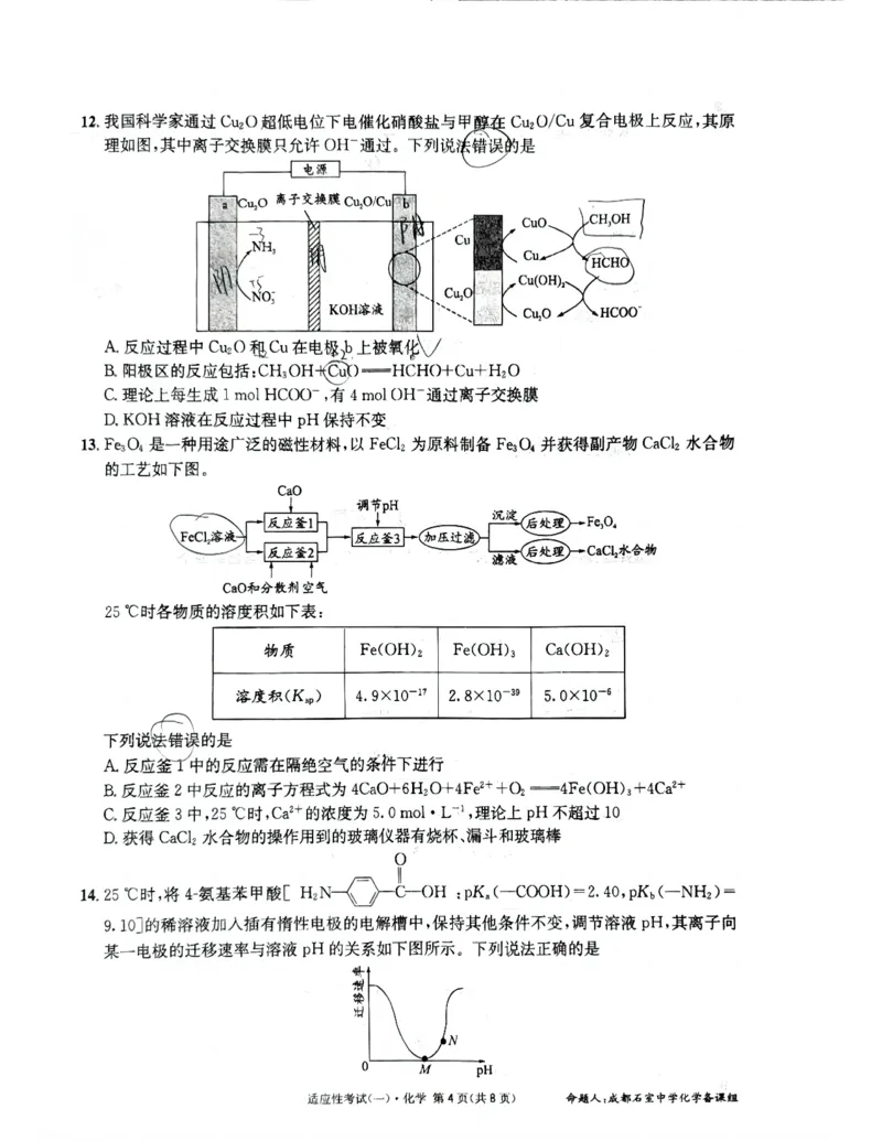 成都石室中学2024-2025学年度下期高2025届适应性考试（一)化学_2025年5月_250523四川省成都石室中学2024-2025学年度下期高2025届适应性考试（一）（全科）