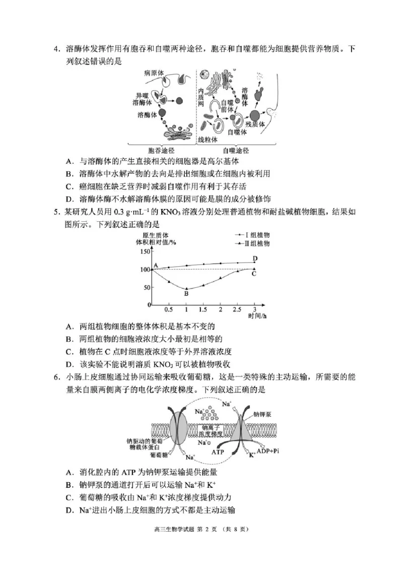 四川省成都市蓉城名校联盟2025-2026学年高三上学期开学联考生物试题（含答案）_2025年9月_250906四川省成都市蓉城名校联盟2025-2026学年高三上学期开学联考（全科）