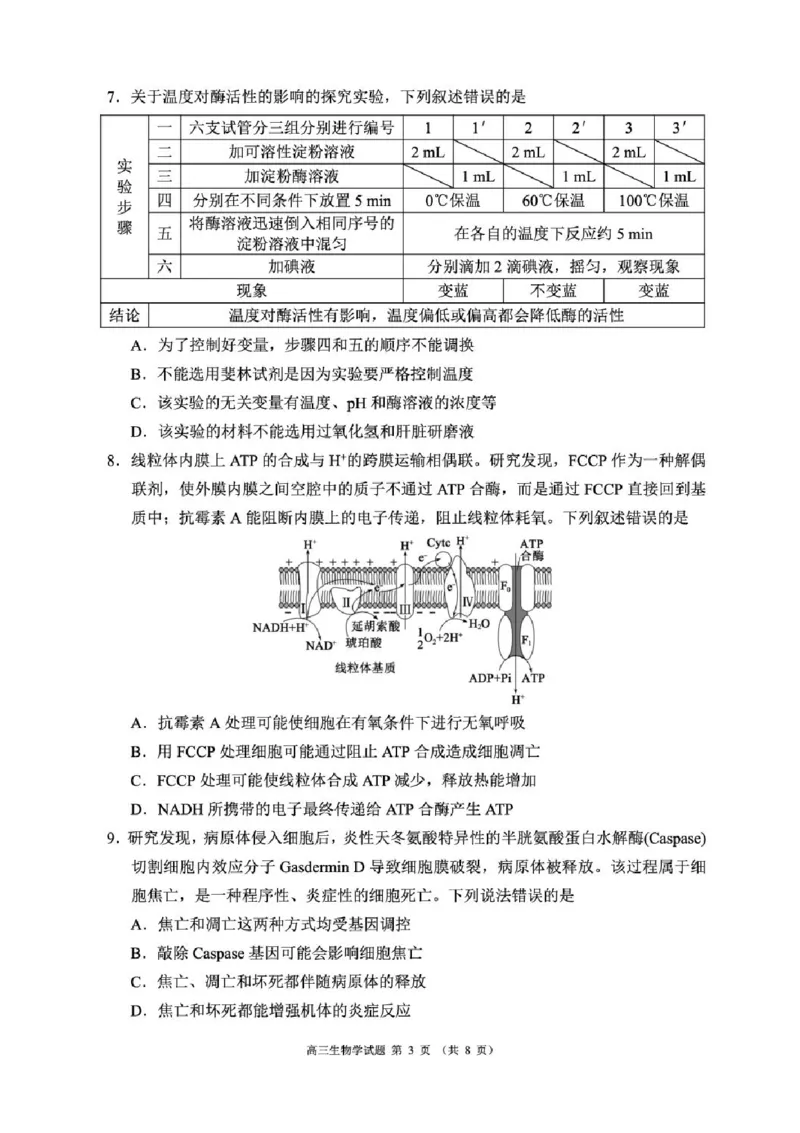 四川省成都市蓉城名校联盟2025-2026学年高三上学期开学联考生物试题（含答案）_2025年9月_250906四川省成都市蓉城名校联盟2025-2026学年高三上学期开学联考（全科）