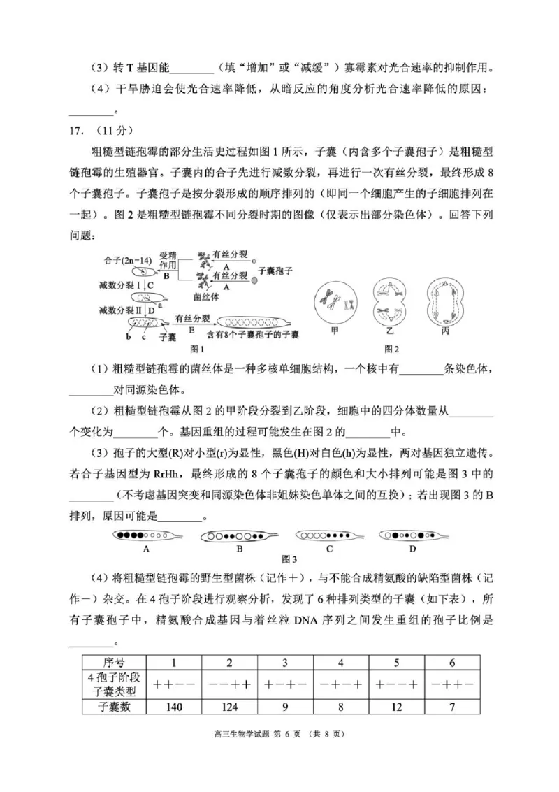 四川省成都市蓉城名校联盟2025-2026学年高三上学期开学联考生物试题（含答案）_2025年9月_250906四川省成都市蓉城名校联盟2025-2026学年高三上学期开学联考（全科）