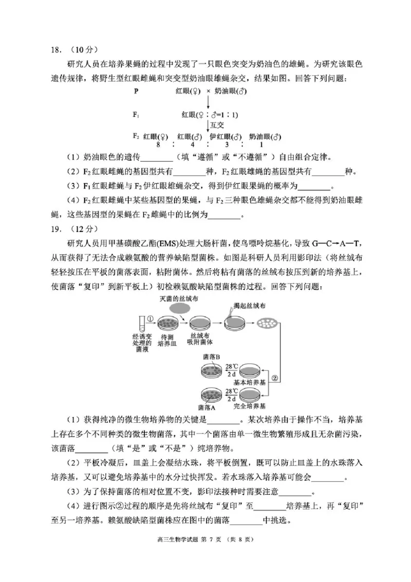 四川省成都市蓉城名校联盟2025-2026学年高三上学期开学联考生物试题（含答案）_2025年9月_250906四川省成都市蓉城名校联盟2025-2026学年高三上学期开学联考（全科）