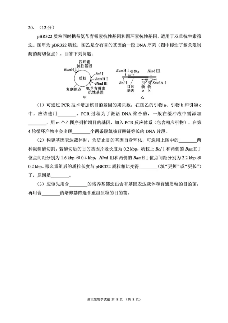 四川省成都市蓉城名校联盟2025-2026学年高三上学期开学联考生物试题（含答案）_2025年9月_250906四川省成都市蓉城名校联盟2025-2026学年高三上学期开学联考（全科）