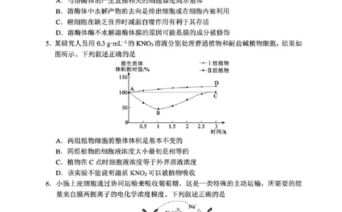 四川省成都市蓉城名校联盟2025-2026学年高三上学期开学联考生物试题（含答案）_2025年9月_250906四川省成都市蓉城名校联盟2025-2026学年高三上学期开学联考（全科）
