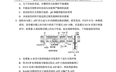 四川省成都市蓉城名校联盟2025-2026学年高三上学期开学联考生物试题（含答案）_2025年9月_250906四川省成都市蓉城名校联盟2025-2026学年高三上学期开学联考（全科）