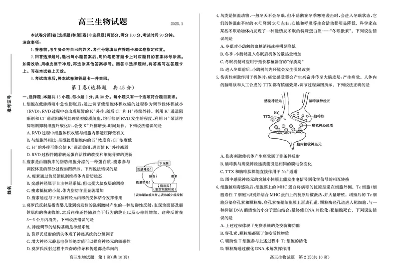 山东省德州市2024-2025学年高三上学期1月期末考试生物_2025年1月_250117山东省德州市2024-2025学年高三上学期1月期末考试试题（全科）
