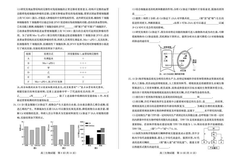山东省德州市2024-2025学年高三上学期1月期末考试生物_2025年1月_250117山东省德州市2024-2025学年高三上学期1月期末考试试题（全科）