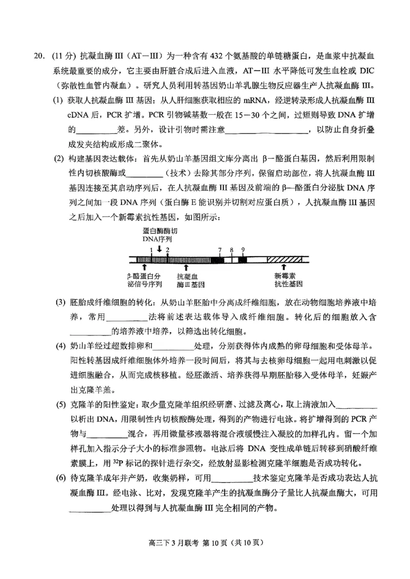 西附、育才、鲁巴高三3月联考生物_2025年3月_250317重庆市高2025届拔尖强基联盟高三（下）3月联合诊断性考试（全科）