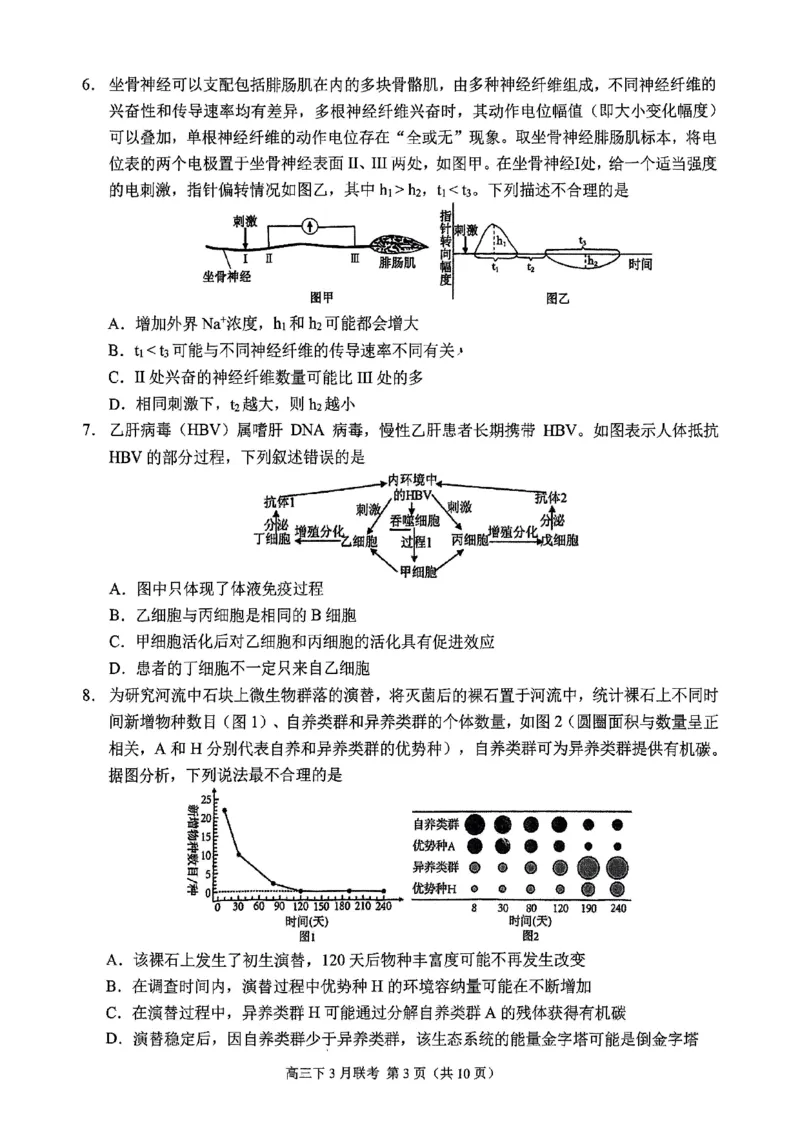 西附、育才、鲁巴高三3月联考生物_2025年3月_250317重庆市高2025届拔尖强基联盟高三（下）3月联合诊断性考试（全科）