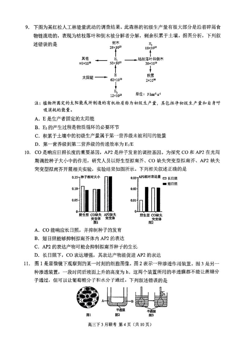 西附、育才、鲁巴高三3月联考生物_2025年3月_250317重庆市高2025届拔尖强基联盟高三（下）3月联合诊断性考试（全科）