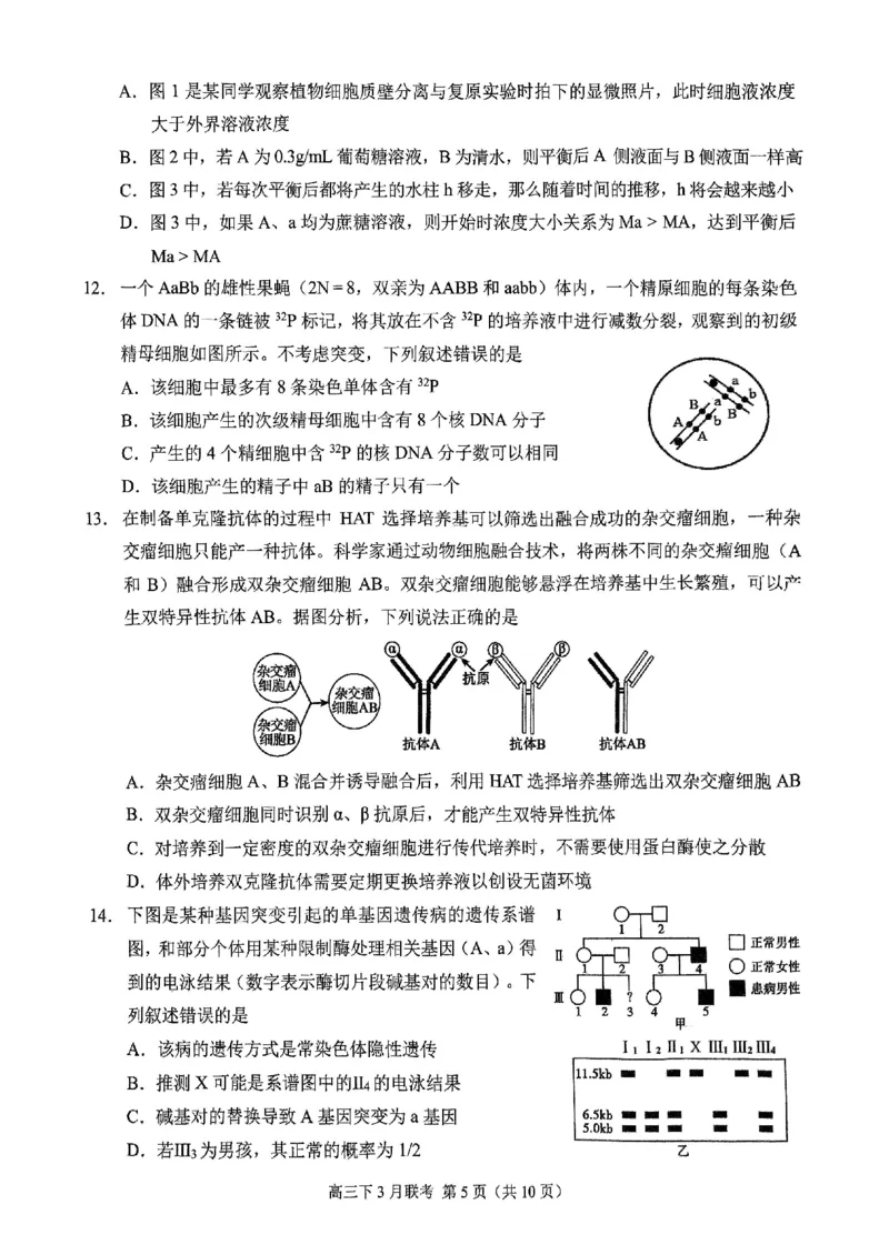 西附、育才、鲁巴高三3月联考生物_2025年3月_250317重庆市高2025届拔尖强基联盟高三（下）3月联合诊断性考试（全科）
